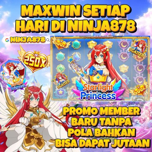 Ninja878